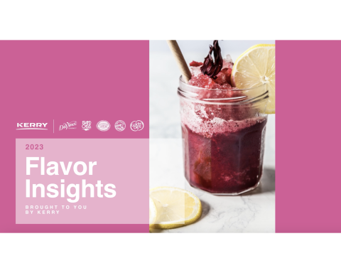 Kerry 2023 Flavor Insights