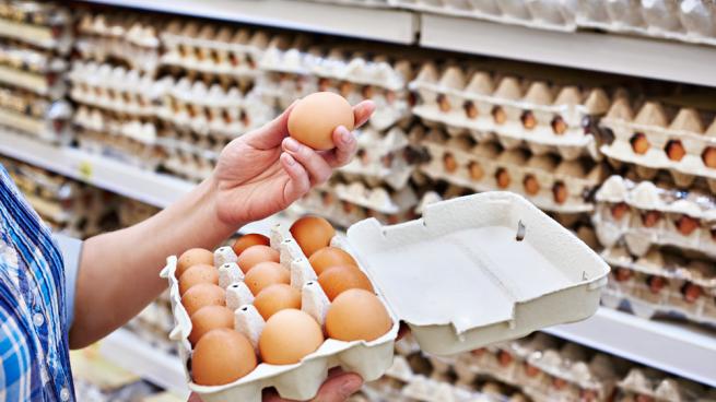 eggs