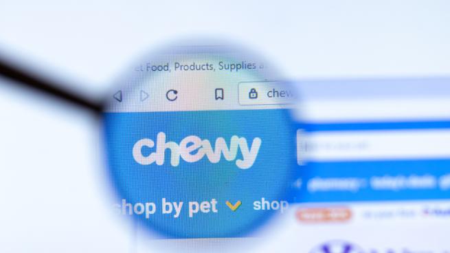 Chewy Shares Strong Q2 Results Store Brands